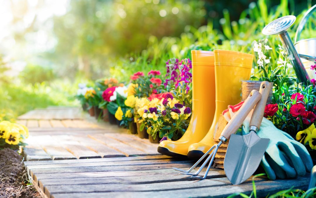 Saiba como montar um jardim de inverno na sua casa