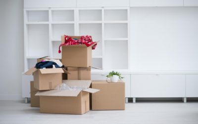 Montando o lar: confira os 10 itens necessários para sua casa