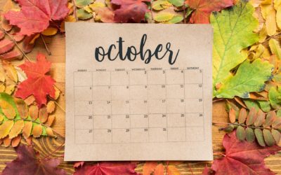 Organização mensal: saiba o que fazer durante o mês de outubro em sua casa