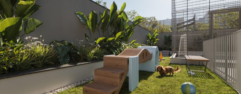 Absoluta_Essence_Pet_Place_E01